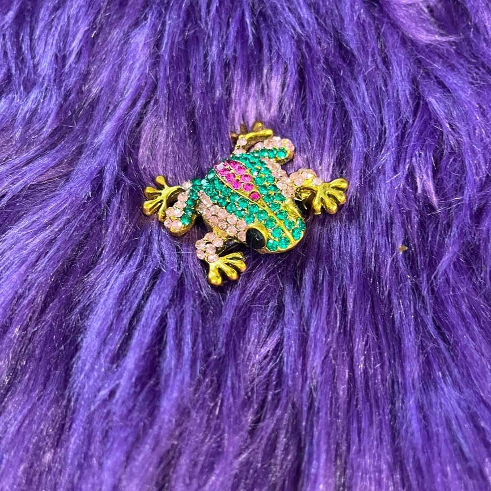 Colorful Frog Brooch